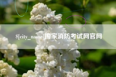肇州国家消防考试网官网