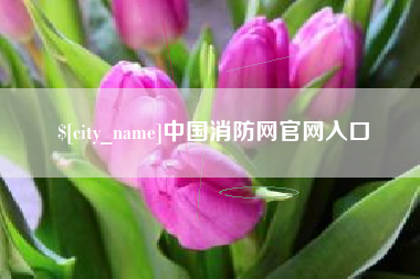 肇州中国消防网官网入口