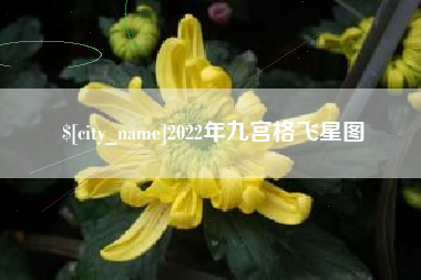 肇州2022年九宫格飞星图