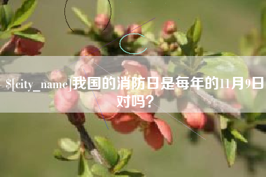 肇州我国的消防日是每年的11月9日对吗？