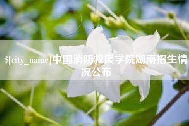 肇州中国消防救援学院湖南招生情况公布