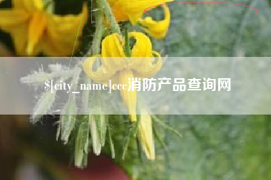 肇州ccc消防产品查询网