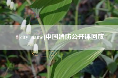 肇州中国消防公开课回放
