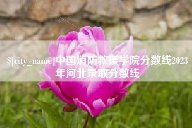 肇州中国消防救援学院分数线2023年河北录取分数线
