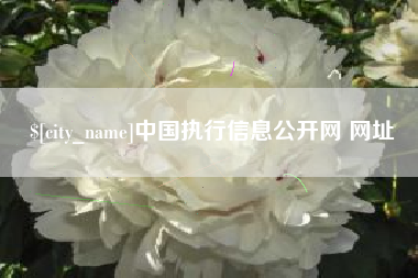 肇州中国执行信息公开网 网址