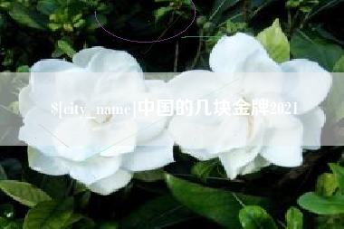 肇州中国的几块金牌2021