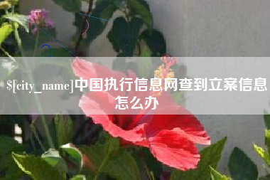 肇州中国执行信息网查到立案信息怎么办