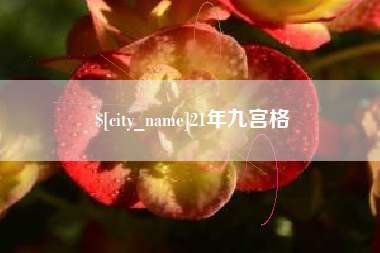 肇州21年九宫格