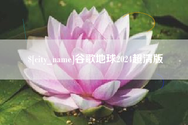 肇州谷歌地球2024超清版