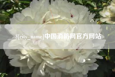 肇州中国消防网官方网站