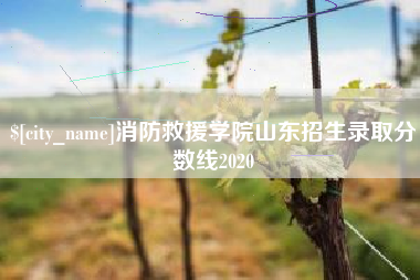 肇州消防救援学院山东招生录取分数线2020