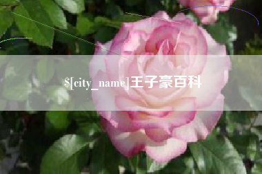 肇州王子豪百科