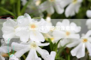 肇州中国地图像素版