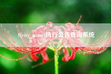 肇州执行公告查询系统