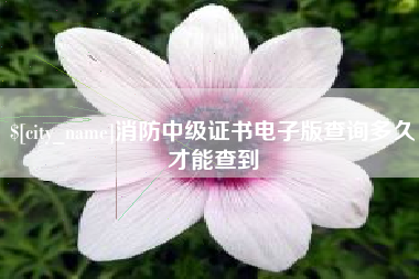 肇州消防中级证书电子版查询多久才能查到