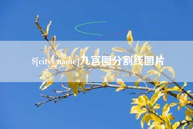 肇州九宫图分割线图片