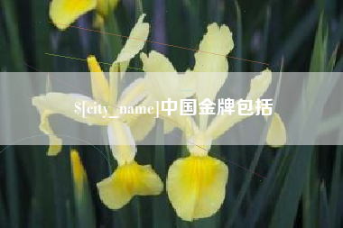 肇州中国金牌包括