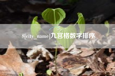 肇州九宫格数字排序