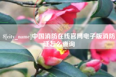 肇州中国消防在线官网电子版消防证怎么查询