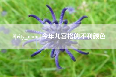 肇州今年九宫格的不利颜色