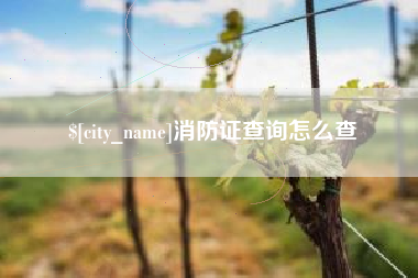 肇州消防证查询怎么查