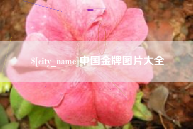 肇州中国金牌图片大全