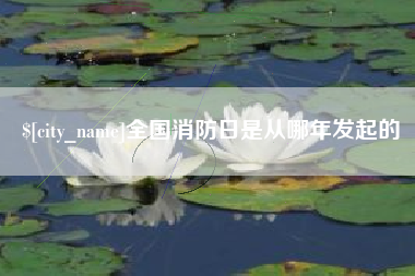肇州全国消防日是从哪年发起的