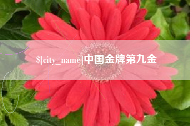 肇州中国金牌第九金