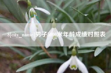 肇州男子5000米年龄成绩对照表
