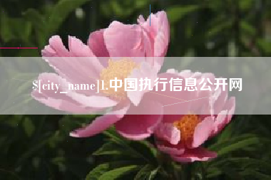肇州1.中国执行信息公开网