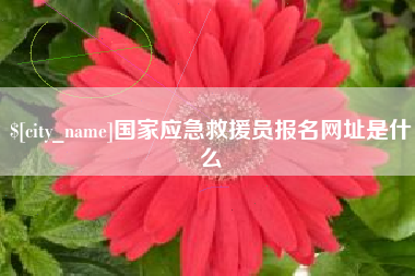 肇州国家应急救援员报名网址是什么