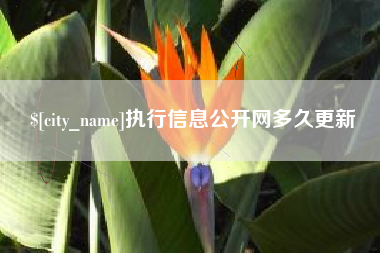肇州执行信息公开网多久更新