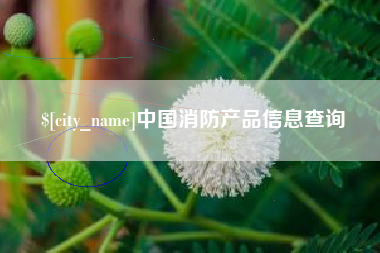 肇州中国消防产品信息查询