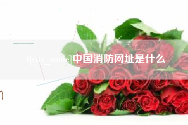 肇州中国消防网址是什么