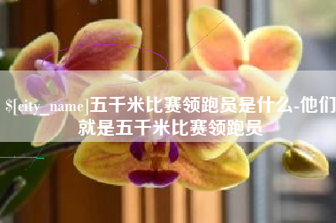 肇州五千米比赛领跑员是什么-他们就是五千米比赛领跑员