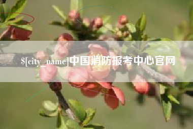 肇州中国消防报考中心官网
