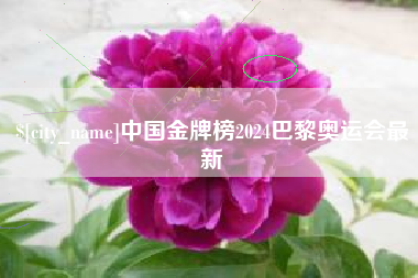 肇州中国金牌榜2024巴黎奥运会最新