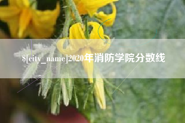 肇州2020年消防学院分数线