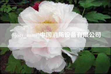 肇州中国消防设备有限公司