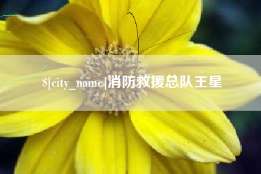 肇州消防救援总队王星