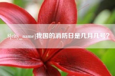 肇州我国的消防日是几月几号？