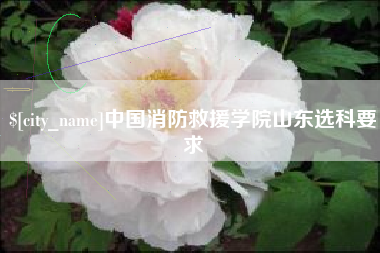 肇州中国消防救援学院山东选科要求