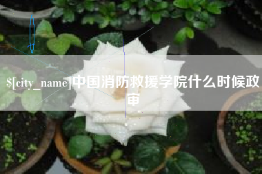 肇州中国消防救援学院什么时候政审