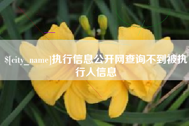 肇州执行信息公开网查询不到被执行人信息