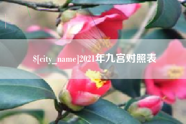 肇州2021年九宫对照表