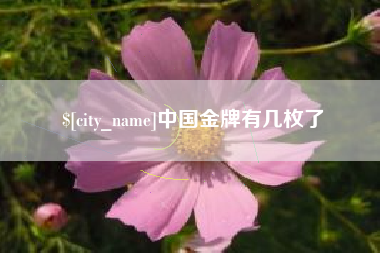 肇州中国金牌有几枚了