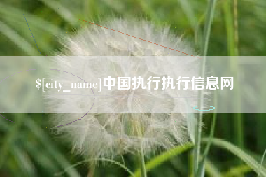 肇州中国执行执行信息网