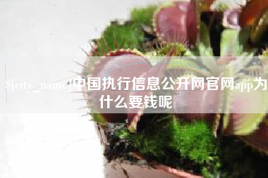 肇州中国执行信息公开网官网app为什么要钱呢