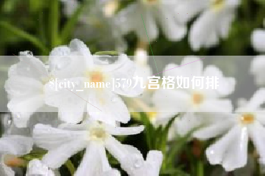 肇州579九宫格如何排