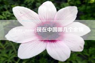 肇州现在中国哪几个金牌